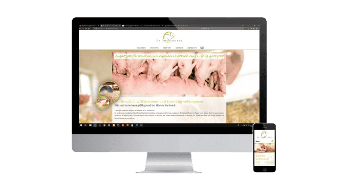 food supplier Sondermann website screenshot inside a mac computer screen and iphone